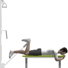 illustration of cable machine exercise for your hamstring muscles.
