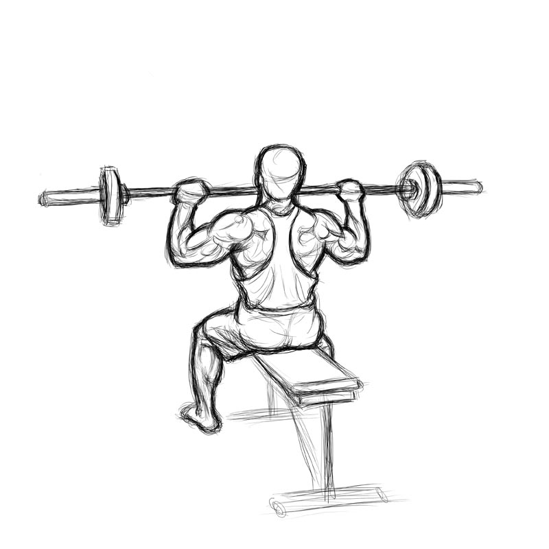 Illustration of male doing barbell military press while seated