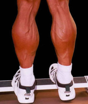 Great list of exercises for your calves for men