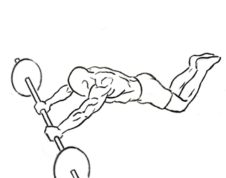 illustration of ab rollout on knees 