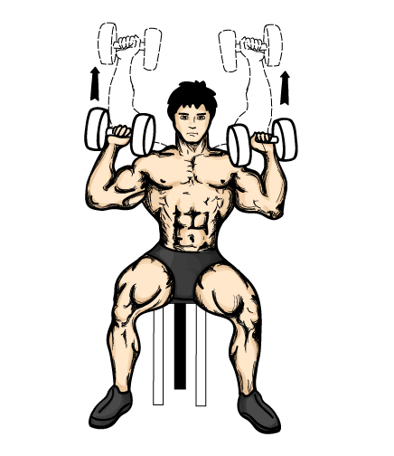 Illustration of anterior deltoid or front shoulder exercise. 