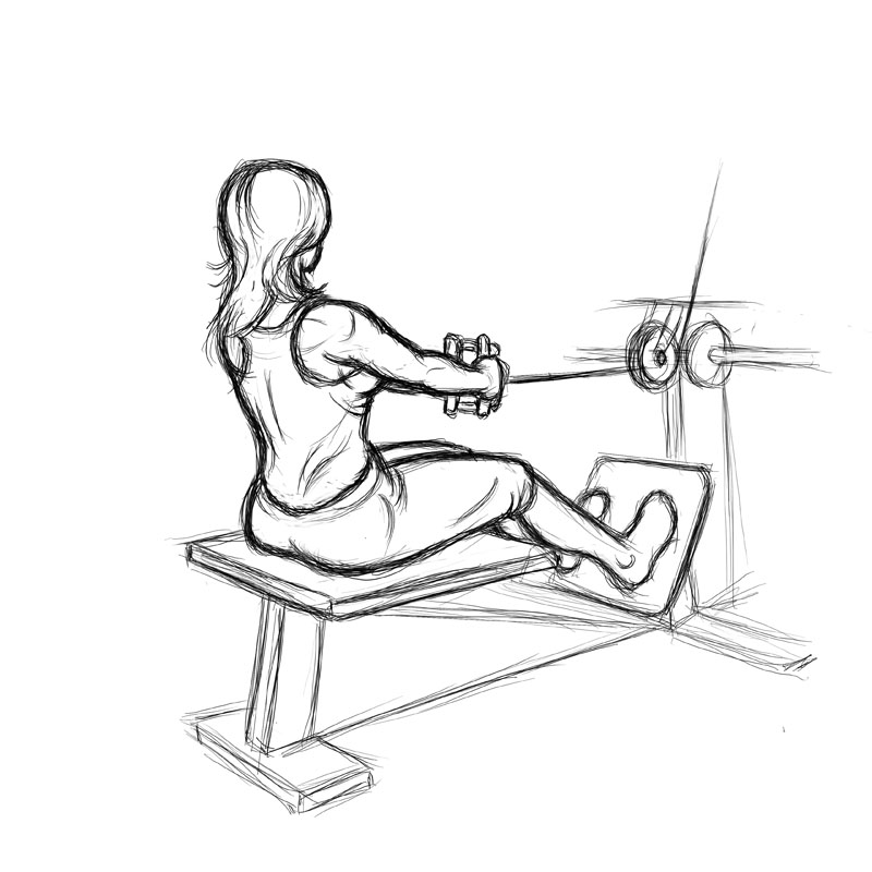 Illustration of women doing a good back workout.