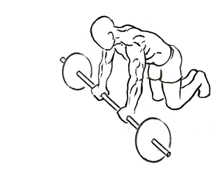 Illustration of ab workouts using a barbell. 