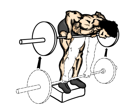 Illustration of good back workouts with a barbell.