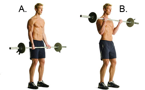 Picture of barbell bicep workouts. 