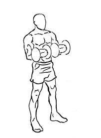 image of bicep reverse curl using dumbbell finish position