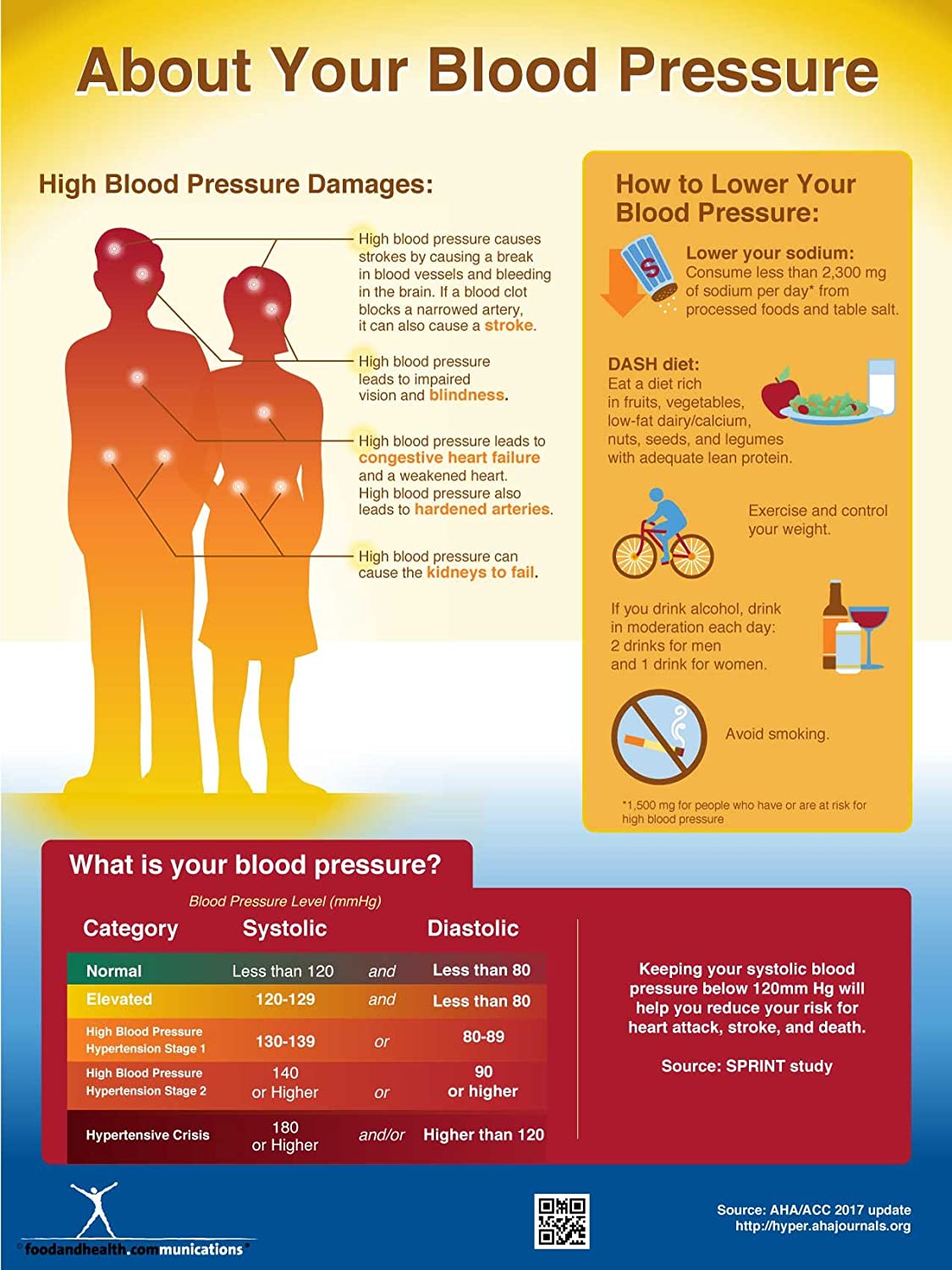 Blood pressure 12 by 18 inch poster jpg
