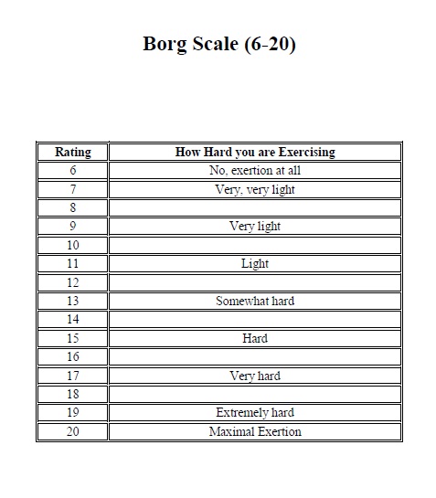 Printable borg scale pre chart.
