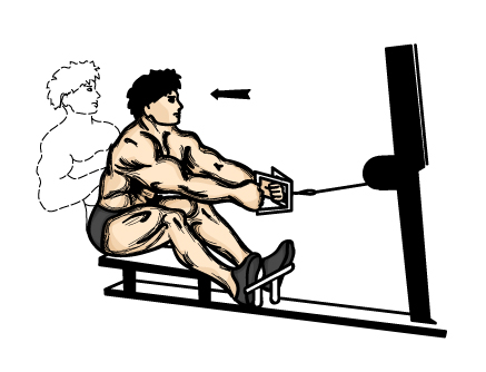 Illustration of back exercises using a cable machine.