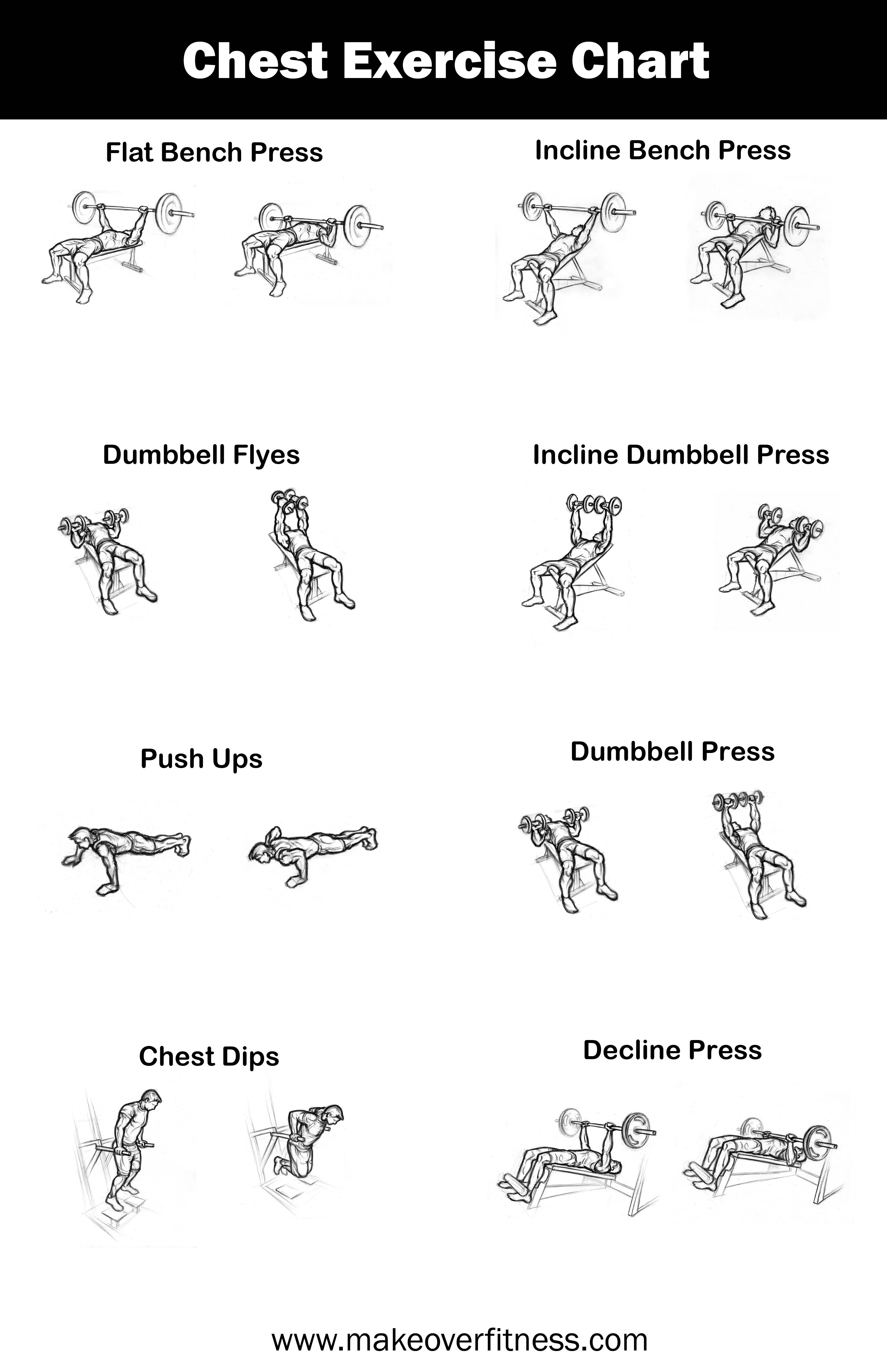 An illustrated chart of the best chest exercises