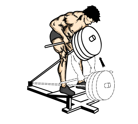 Illustration of a good back workout exercise for men.