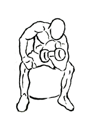 illustration of man doing concentration curl on a stability ball