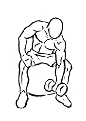 illustration of man doing concentration curl on a stability ball