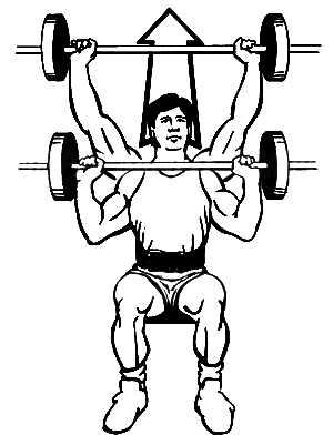 Illustration of shoulder workouts with a barbell. 