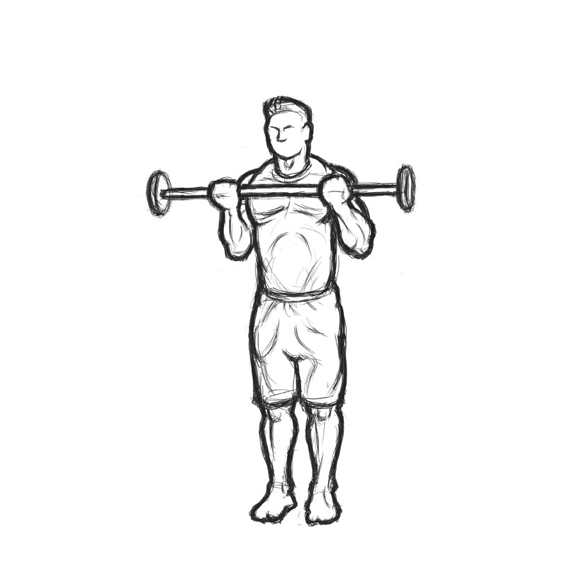 male doing bicep curl with barbell 
