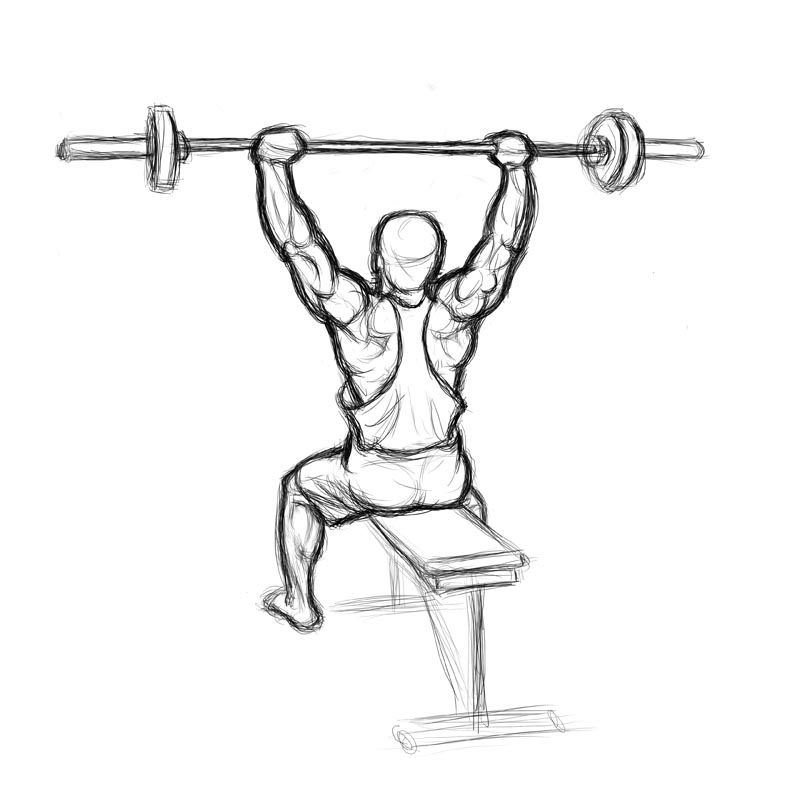 Illustration of male doing barbell military press while seated (finish position)