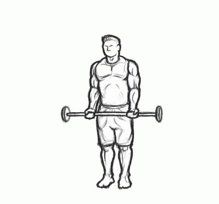 List of great bicep exercises for home or the gym.