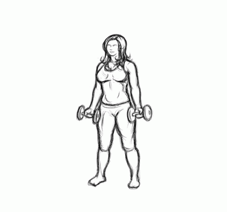 Illustration of curvy women doing bicep exercises