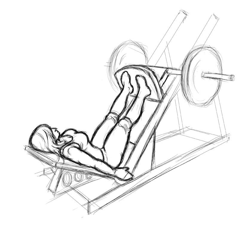 Illustration of curvy plus size model doing leg press exercise.