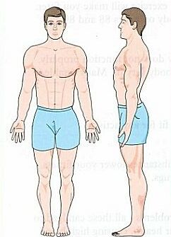 Mesomorph Body Type exercises and routines