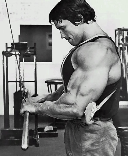 Add mass to your tricep with these muscle building exercises.
