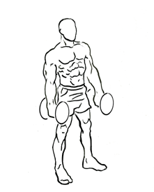 image of zottman curl starting position